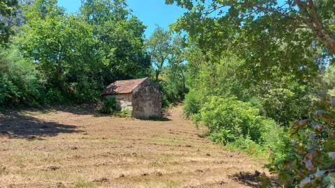 Terreno  Venda em Gouveia (São Simão),Amarante