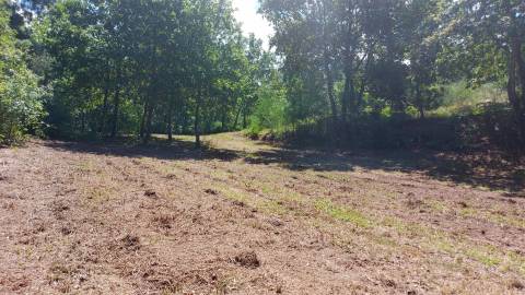 Terreno  Venda em Gouveia (São Simão),Amarante