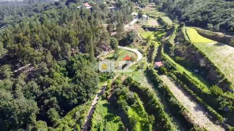 Terreno Rústico  Venda em Salvador do Monte,Amarante