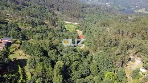 Terreno Rústico  Venda em Salvador do Monte,Amarante