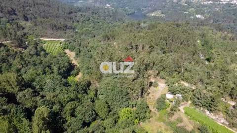 Terreno Rústico  Venda em Salvador do Monte,Amarante