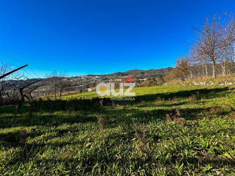 Terreno Rústico  Venda em Campelo e Ovil,Baião
