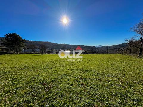 Terreno Rústico  Venda em Campelo e Ovil,Baião
