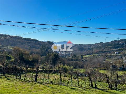 Terreno Rústico  Venda em Campelo e Ovil,Baião