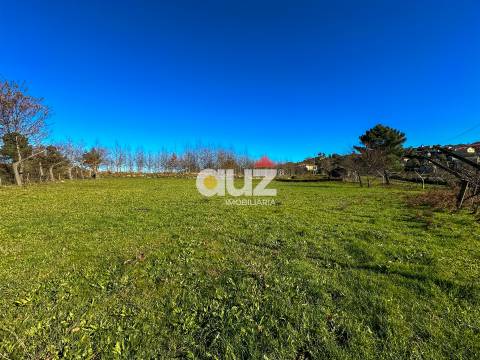 Terreno Rústico  Venda em Campelo e Ovil,Baião