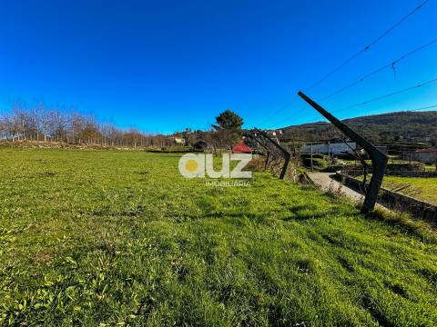 Terreno Rústico  Venda em Campelo e Ovil,Baião