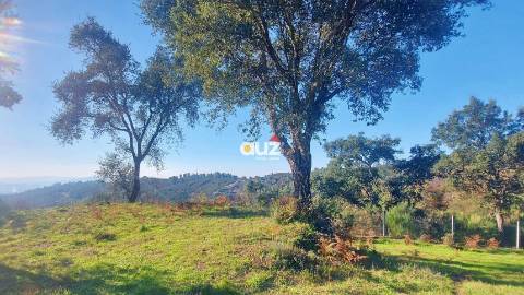 Quinta Vale do Cabo - Vila Chã do Marão, Amarante