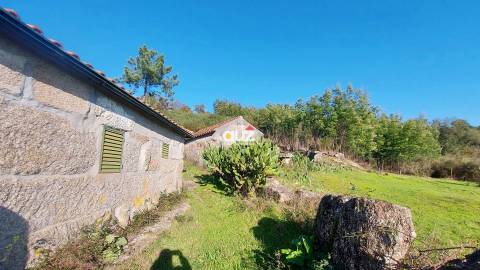 Quinta Vale do Cabo - Vila Chã do Marão, Amarante