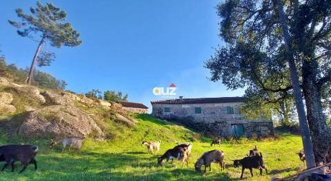 Quinta Vale do Cabo - Vila Chã do Marão, Amarante