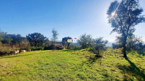 Quinta Vale do Cabo - Vila Chã do Marão, Amarante