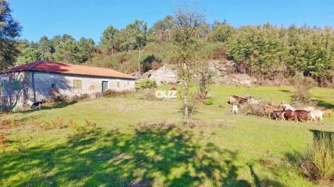 Quinta Vale do Cabo - Vila Chã do Marão, Amarante