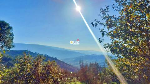 Quinta Vale do Cabo - Vila Chã do Marão, Amarante