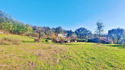 Quinta Vale do Cabo - Vila Chã do Marão, Amarante