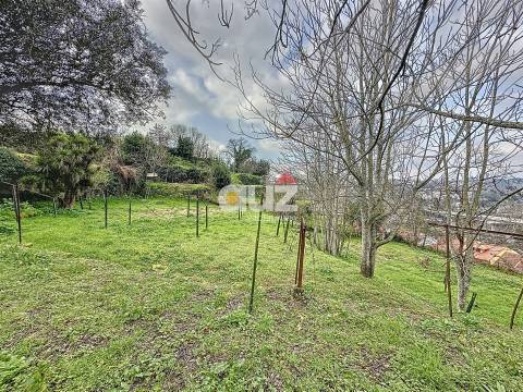 Moradia para Restaurar >=T10 Venda em Amarante (São Gonçalo), Madalena, Cepelos e Gatão,Amarante