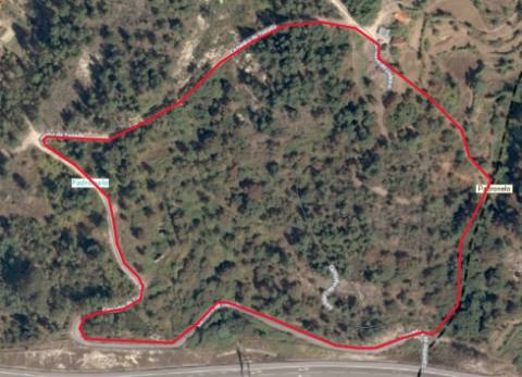 Quinta  Venda em Padronelo,Amarante