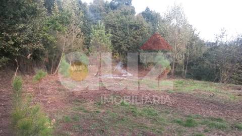 Quinta  Venda em Padronelo,Amarante