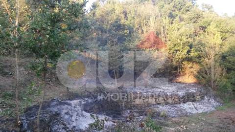 Quinta  Venda em Padronelo,Amarante