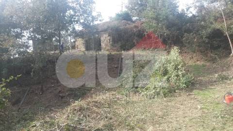 Quinta  Venda em Padronelo,Amarante