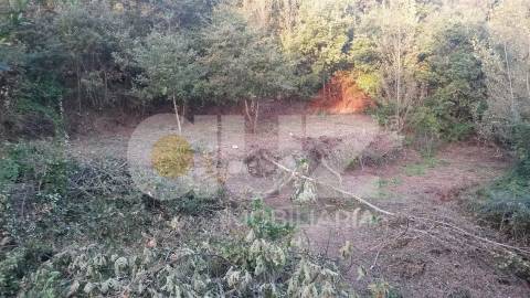 Quinta  Venda em Padronelo,Amarante