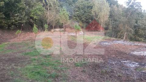 Quinta  Venda em Padronelo,Amarante