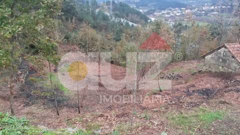 Quinta  Venda em Padronelo,Amarante