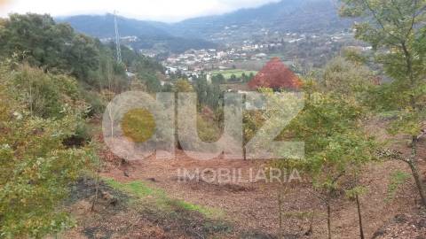 Quinta  Venda em Padronelo,Amarante