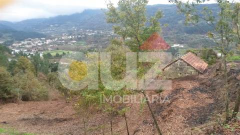 Quinta  Venda em Padronelo,Amarante