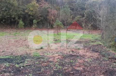 Quinta  Venda em Padronelo,Amarante