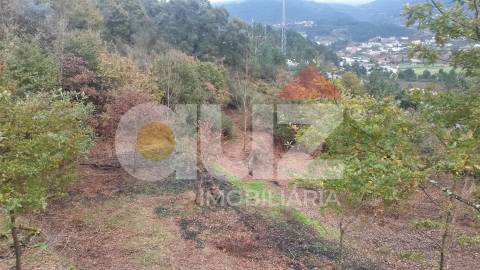 Quinta  Venda em Padronelo,Amarante