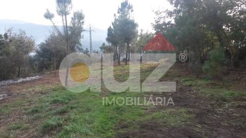 Quinta  Venda em Padronelo,Amarante