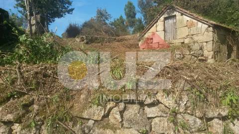 Quinta  Venda em Padronelo,Amarante