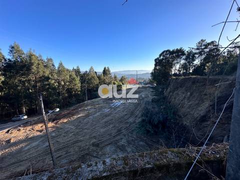 Lote Industrial  Venda em Vila Garcia, Aboim e Chapa,Amarante