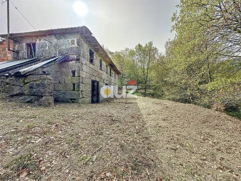 Quinta T3 Venda em Olo e Canadelo,Amarante