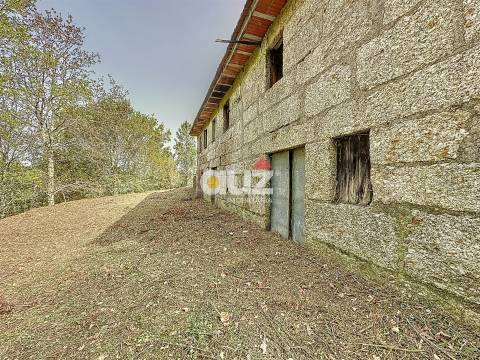 Quinta T3 Venda em Olo e Canadelo,Amarante