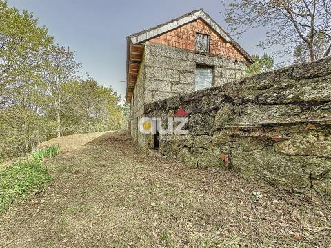 Quinta T3 Venda em Olo e Canadelo,Amarante