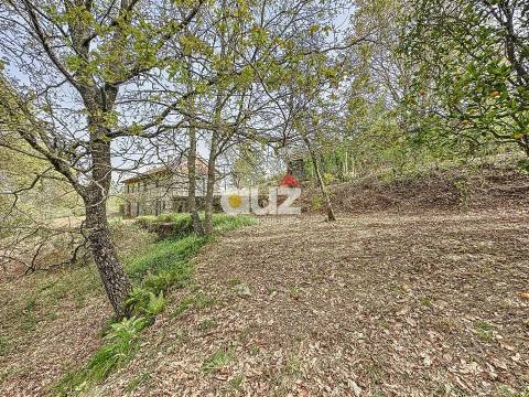 Quinta T3 Venda em Olo e Canadelo,Amarante