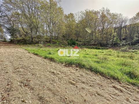 Quinta T3 Venda em Olo e Canadelo,Amarante