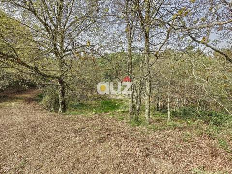 Quinta T3 Venda em Olo e Canadelo,Amarante