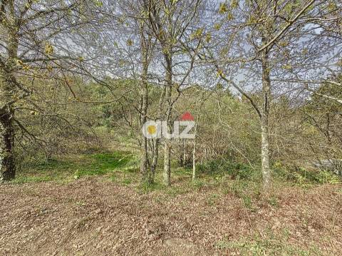 Quinta T3 Venda em Olo e Canadelo,Amarante