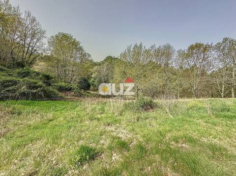 Quinta T3 Venda em Olo e Canadelo,Amarante