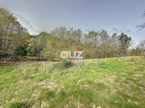 Quinta T3 Venda em Olo e Canadelo,Amarante