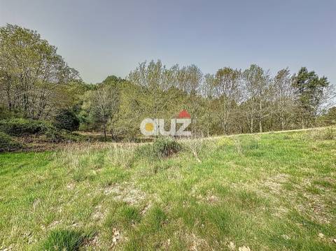 Quinta T3 Venda em Olo e Canadelo,Amarante