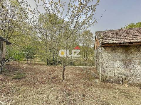 Quinta T3 Venda em Olo e Canadelo,Amarante