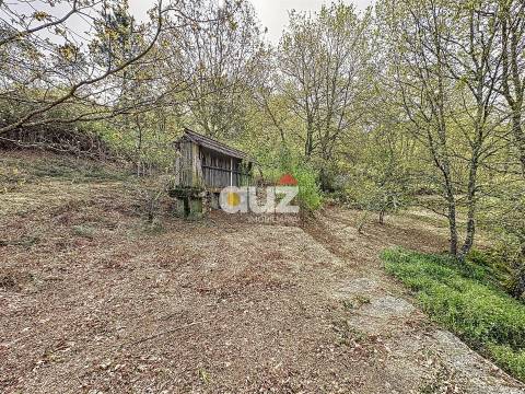 Quinta T3 Venda em Olo e Canadelo,Amarante