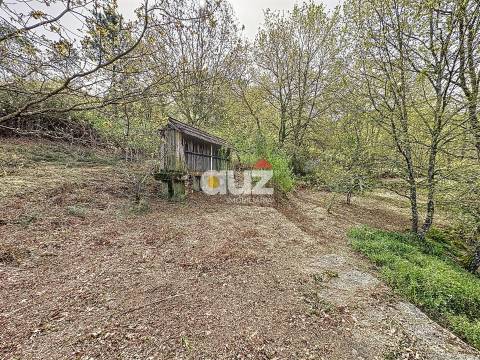 Quinta T3 Venda em Olo e Canadelo,Amarante