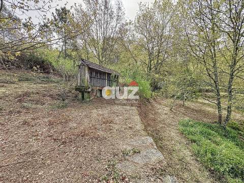 Quinta T3 Venda em Olo e Canadelo,Amarante