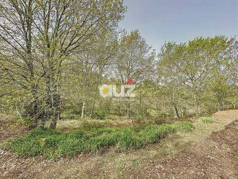 Quinta T3 Venda em Olo e Canadelo,Amarante