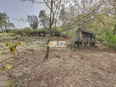 Quinta T3 Venda em Olo e Canadelo,Amarante