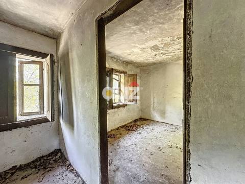 Quinta T3 Venda em Olo e Canadelo,Amarante