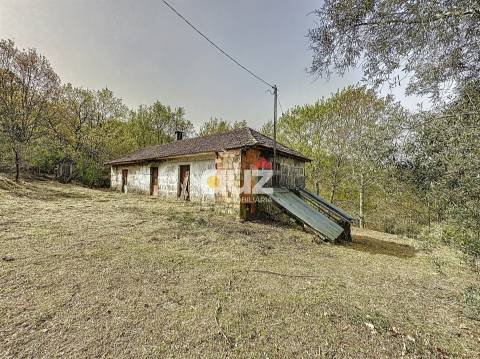 Quinta T3 Venda em Olo e Canadelo,Amarante